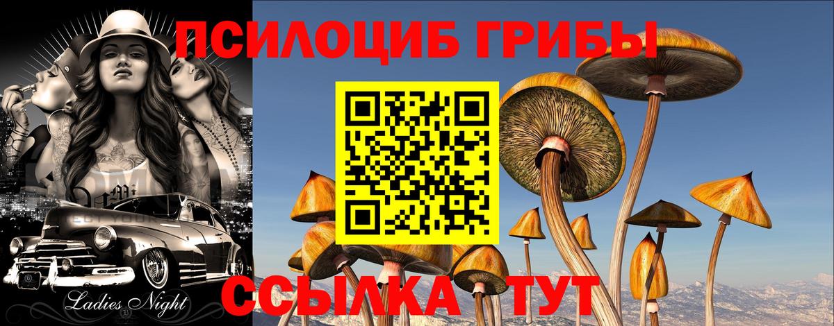 Псилоцибиновые грибы Psilocybine cubensis  Вход с VPN  Псилоцибиновые грибы мицелий  Ачинск 