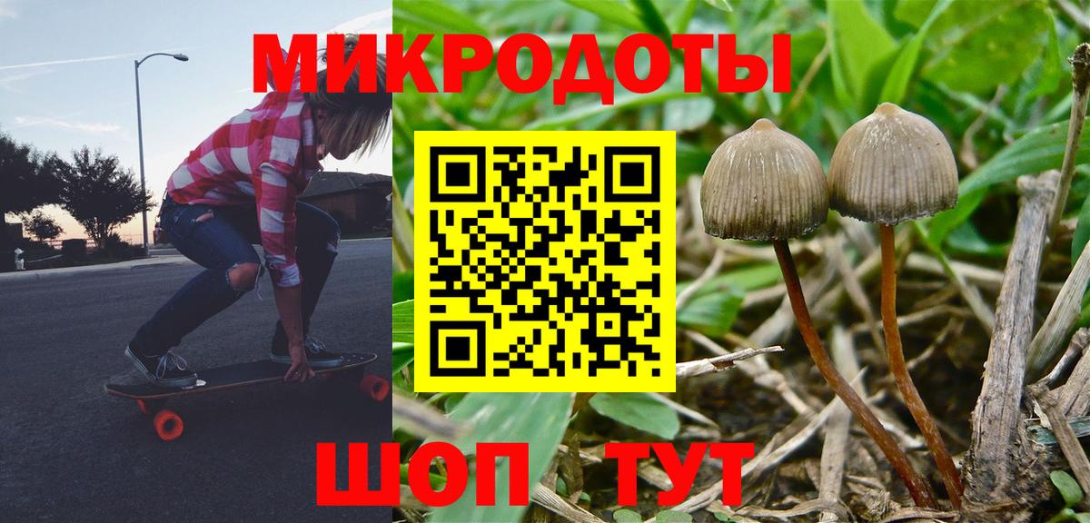 Псилоцибиновые грибы прущие грибы Ачинск